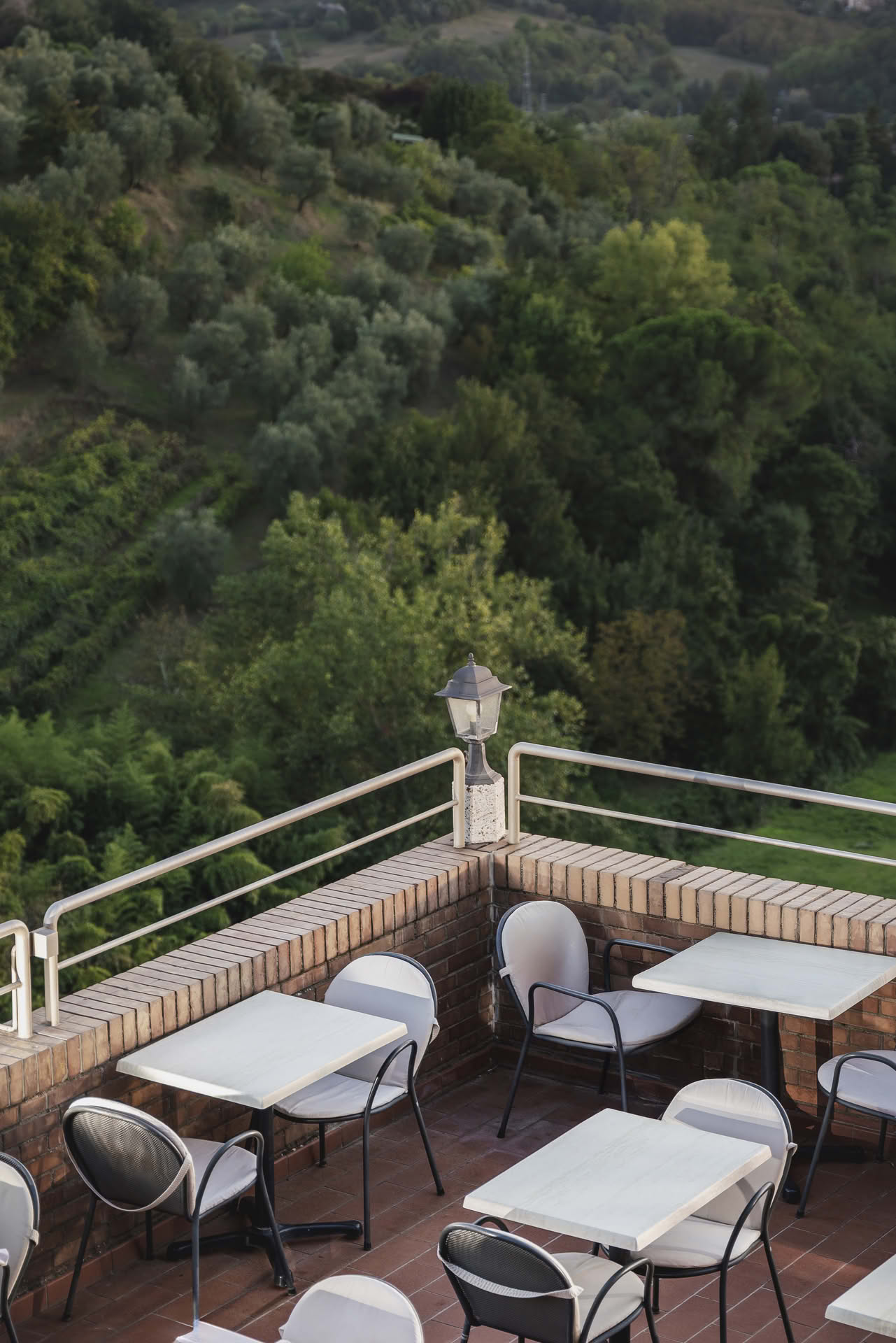 Immagine - 6264916f-2e9c-48a8-84dc-eb908423558f