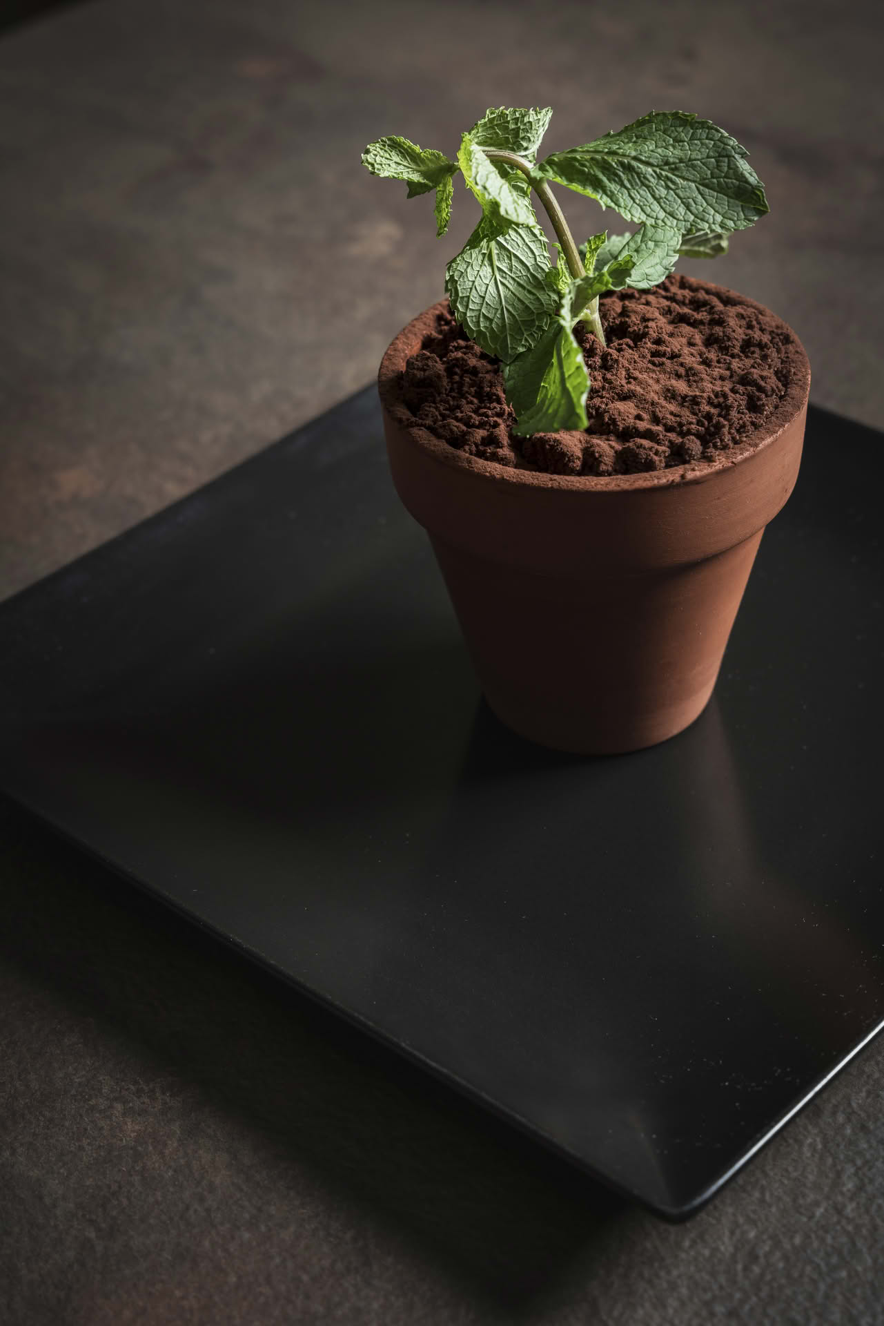 Immagine - 5addf44d-625e-4213-b9d6-208a0ec872d3