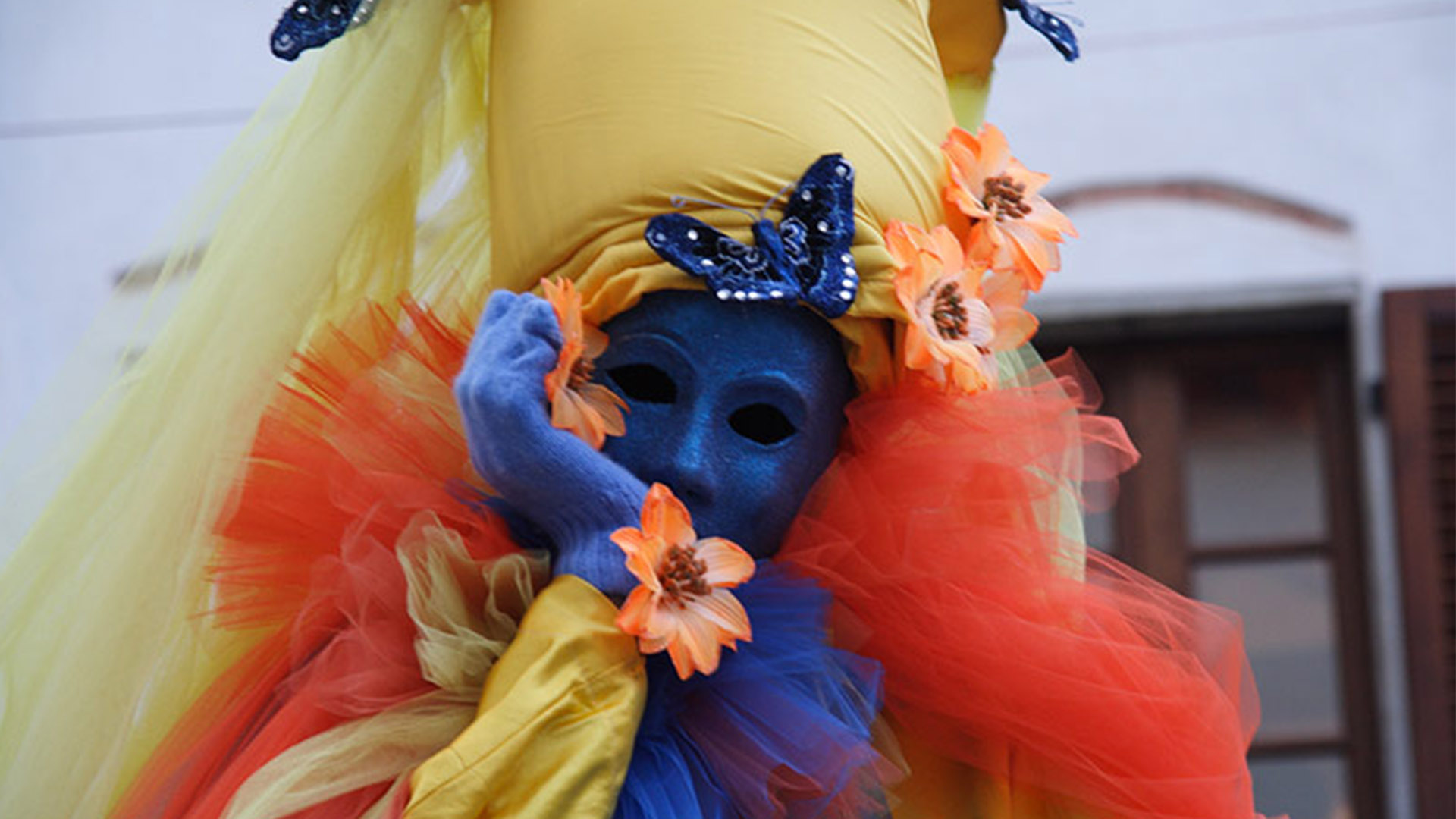 Immagine - ec440848-518b-4e0d-be12-876e3128b3ca