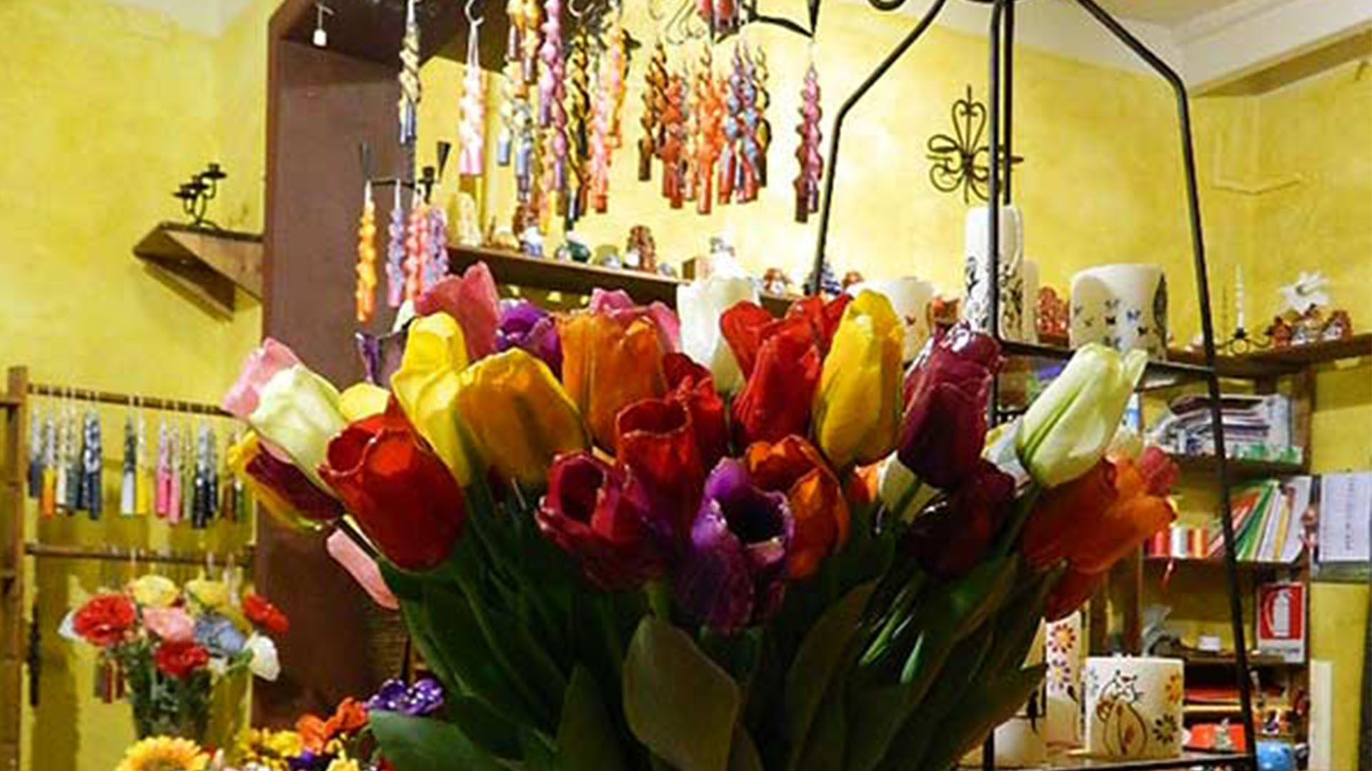 Immagine - a95d0d49-5edd-47e9-931a-79b0e792a026