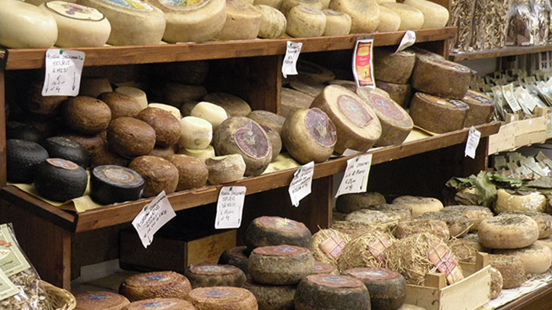 Immagine - 41500b4b-3c84-4c96-af7a-f596b45d7f30