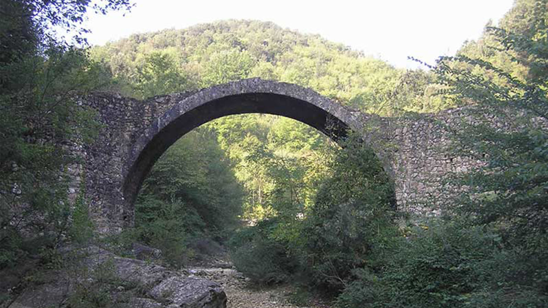 Immagine - 7f5d05f9-aa28-4217-8854-9e8d5ed12ae5