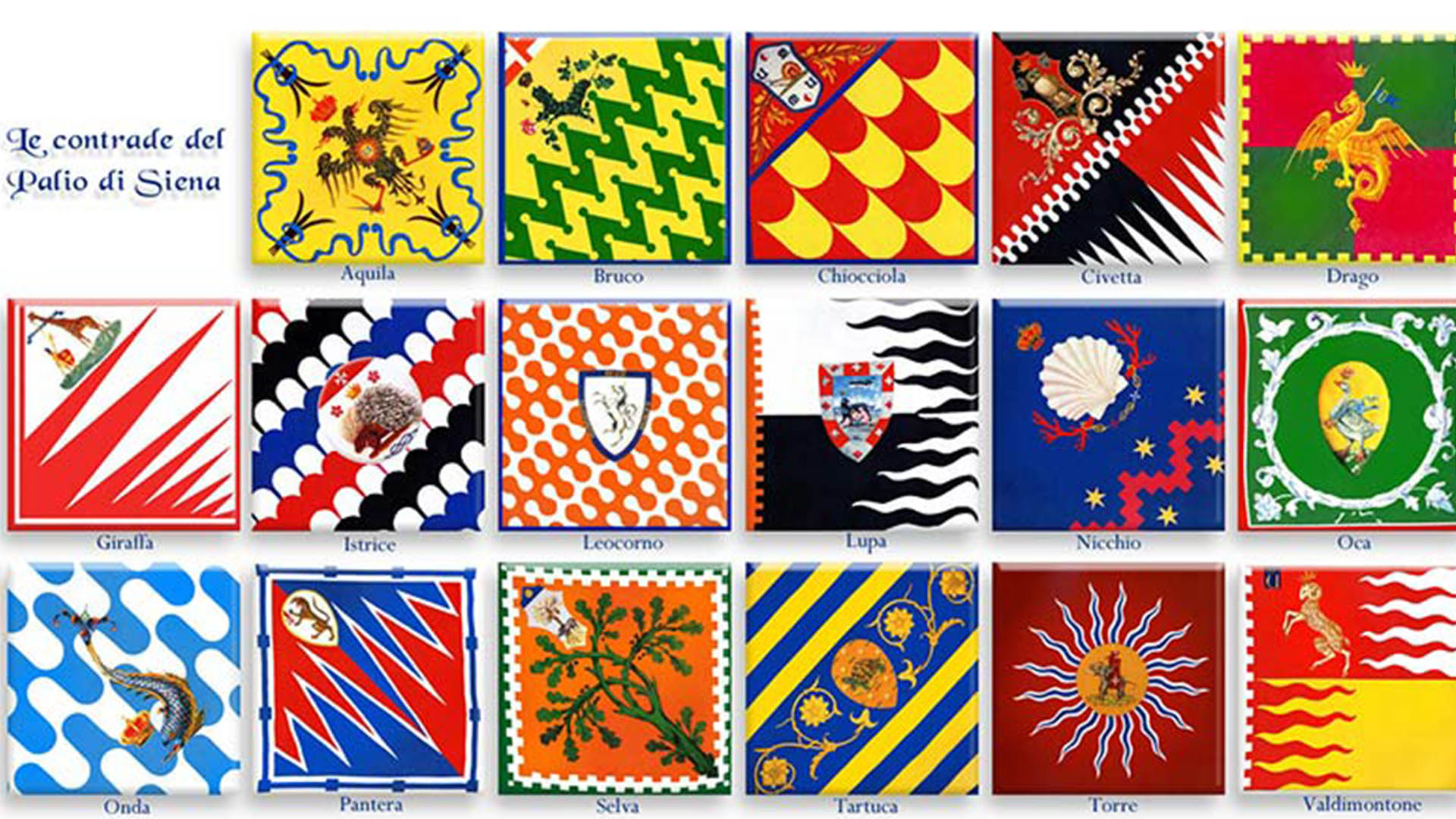 Immagine - 7e62d341-b2ec-4e43-bfc5-c9e365dc99d7